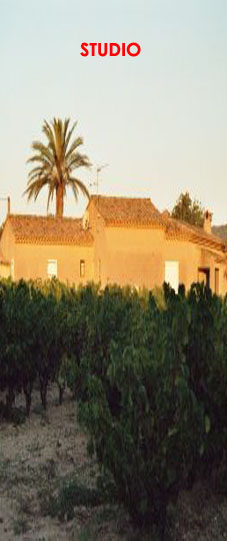 Location d'appartements et studios (83)